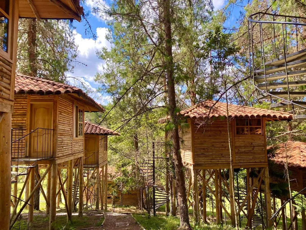 Eco Hotel Niguito Santa Elena Medellin
