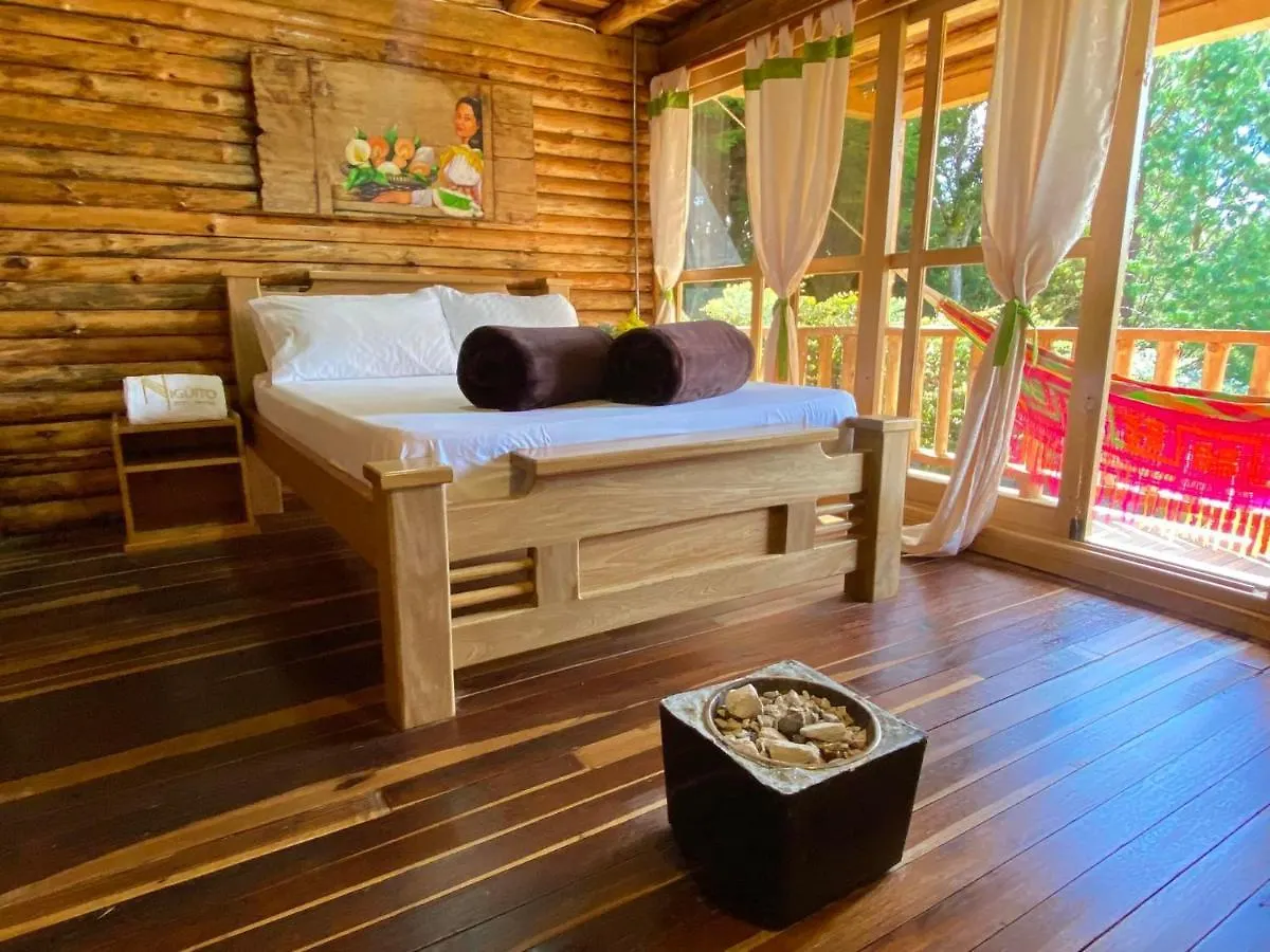 Eco Hotel Niguito Santa Elena Medellin