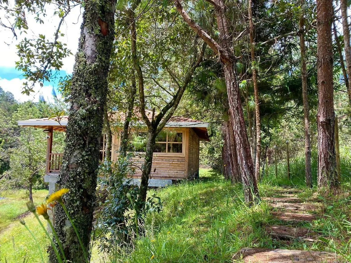 Eco Hotel Niguito Santa Elena Medellin