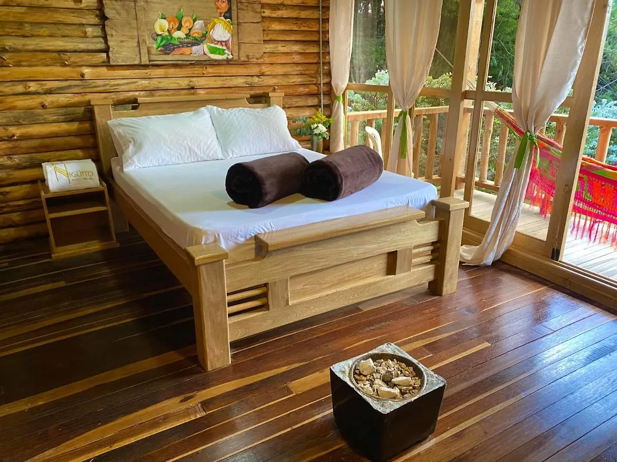 Eco Hotel Niguito Santa Elena Medellin
